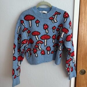 Zara Mushrooms Sweater (like new)